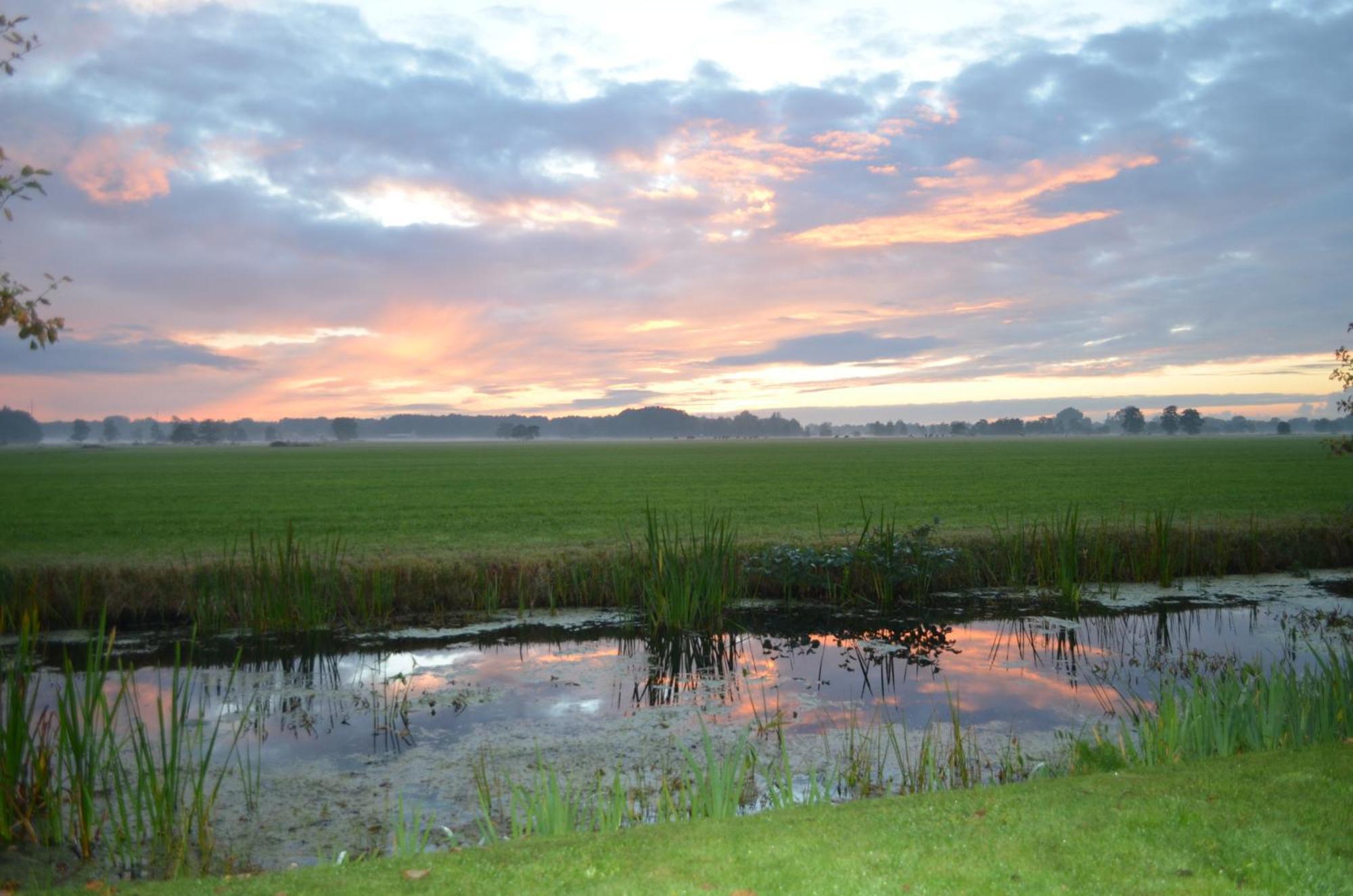 Prive In Een Bosrijke Omgeving Welkom Bij Gastenverblijf Het Ontsnapte Schaap In Jubbega ภายนอก รูปภาพ